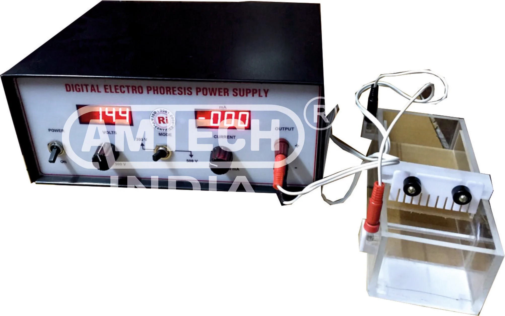 Gel Electrophoresis